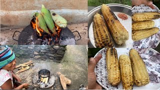 Poleko makai khanu vayo  🌽 lamaswara polekomakai village villagelifestyle [upl. by Adaran]