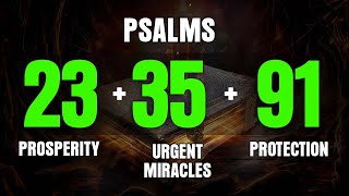 PSALMS 23 35 91  03 Powerful Prayers to Obtain Abundant Blessings and Divine Protection [upl. by Nohsid]