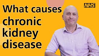 What causes chronic kidney disease [upl. by Lorelei]