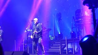 The Stranglers  Skin Deep Live at Brixton Academy London [upl. by High]