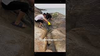 জল থেকে তাগড়া অক্টোপাস ও কাঁকড়া ধরি Catch octopuses and crabs from the water ytshots yt [upl. by Taddeo]