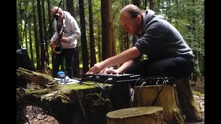 In the Grove  2 loop pedal ambient jam in the forest with synths and sax MC101 Crave Microkorg XL [upl. by Rosalinda]