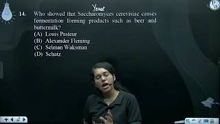 Who showed that Saccharomyces cerevisiae causes fermentation forming products such as beer and b [upl. by Eineeuq]