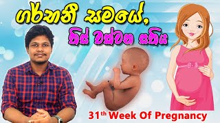 Pregnancy 31st Week  Sinhala Medical Review  අම්මයි බබයි [upl. by Julee]