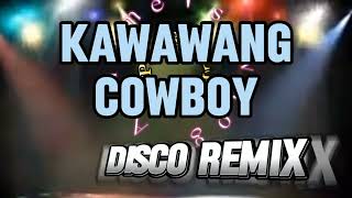 Kawawang Cowboy Disco Remix [upl. by Netti]