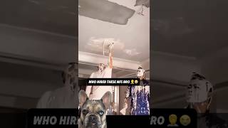 A Stunad’s Way of Spackling 101 😭🤦😱 reaction dog viral funny [upl. by Dadinirt746]