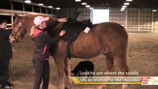 Positioning Treeless Saddles on Horse for First Time [upl. by Rebliw]