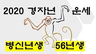 2020년 원숭이띠는 어떤 운이 들어 올까 병신년56년생 [upl. by Rebekah308]