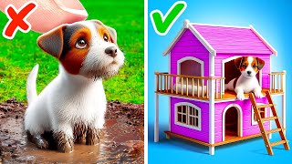 Construí una habitación en miniatura para mi perro 🐶💖 Manualidades fáciles para dueños de mascotas [upl. by Mortensen775]