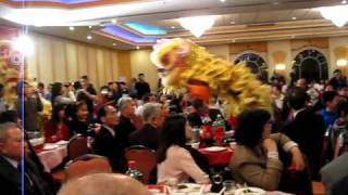 Yun Yee Tong Anniversary Lion Dance After The Eye Dotting [upl. by Enylcaj760]