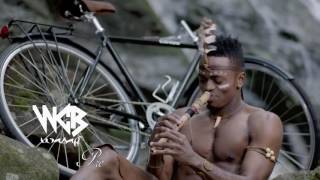 Harmonize Ft Raymond  Penzi Official Video [upl. by Krahmer]