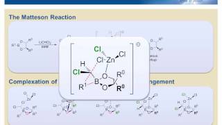 The Matteson Reaction Mechanism [upl. by Siravart895]