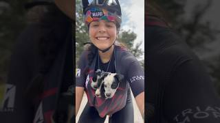 Rescatamos 6 perritos cuando hacíamos Gravel en la montaña los metimos en nuestro jersey 🥰🐶🚲 [upl. by Ranna]