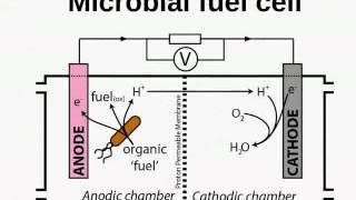 An introduction to biological photovoltaics [upl. by Venator789]