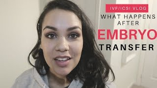 What Happens to the Embryo After Embryo Transfer IVFICSI VLOG [upl. by Haymo889]