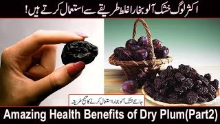 Amazing Health Benefits of Dry Plum In UrduHindi  Khushk Aloo Bukhara kay faydePart2 [upl. by Ednew]