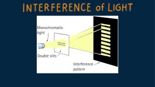 HewittDrewit PHYSICS 112 Interference of Light [upl. by Lenoel]