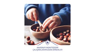 Anasınıfı Montessori Çalışmalarımızdan Örnekler [upl. by Tterej]