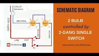 Electrical Tutorial 2 Gang Switch Wiring Actual and Schematic Diagram [upl. by Monto]