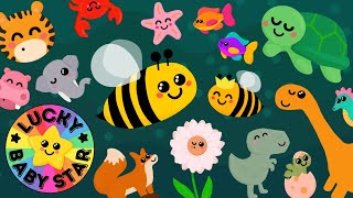 Baby Sensory Video  Animals amp Nature Mixtape by Lucky Baby Star Learning Safari Bees Sea amp Dinos [upl. by Accever]