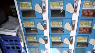 Egg Vending Machines in Rural Japan [upl. by Ehsom]