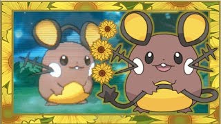 LIVE Static Shiny Dedenne in Pokémon X after 4256 REs [upl. by Yerggoeg]