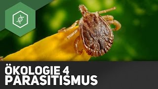 Parasitismus – Ökologie 4 [upl. by Ileana]