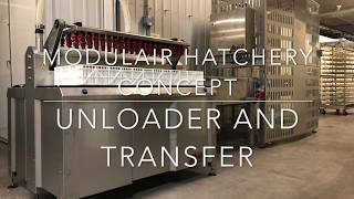 Trolley unloader and egg Transfer solution for Hatchery of MachC solutions [upl. by Hanleigh]