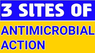 SITES OF ANTIMICROBIAL ACTION pharmacology pharmacy nursing doctor [upl. by Cioban]