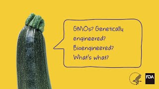 Agricultural Biotechnology Is it Called GMO or Something Else [upl. by Gnilrits]