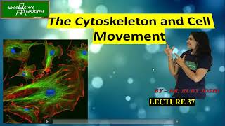 Cytoskeleton and Cell Movements Lecture37 Cell Biology Microtubules [upl. by Zosima23]