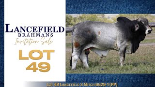 Lot 49 Lancefield S Mitch 66291 PP [upl. by Kat814]