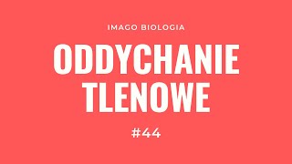 Oddychanie tlenowe [upl. by Llenaj]