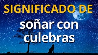 Qué significa soñar con culebras 💤 Interpretación de los Sueños [upl. by Akienaj281]