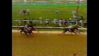 1979 Belmont Stakes  Coastal  CBS Broadcast [upl. by Cristiano170]