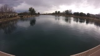 Sahuarita Lake Fishing  RAINBOW TROUT [upl. by Jordain]