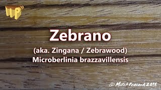 Zebrano microberlinia brazzavillensis aka zebrawoodzingana [upl. by Botnick230]