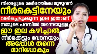 മസ്സിലുകളിലെ നീർക്കെട്ട് വേദന കോച്ചിപ്പിടുത്തം പൂർണമായി മാറ്റിയെടുക്കാം [upl. by Newol]