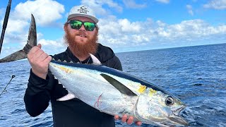 Offshore Fishing South Carolina  Blackfin Tuna [upl. by Alanah303]