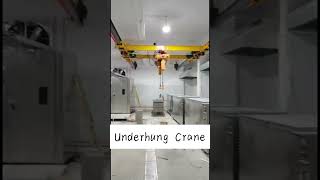 Underhung Running Bridge Crane 1 Ton for Food Processing Workshops Electric Chain Hoist Cranes [upl. by Adlei]