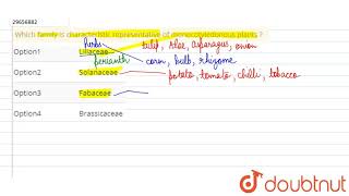 Which family is characteristic representative of monocotyledonous plants [upl. by Eusassilem]