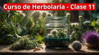 Plantas Medicinales Yin y Yang para Órganos Gel Cosmético Casero y Preparación Detallada [upl. by Onaimad]