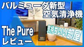 【おすすめ空気清浄機】バルミューダ空気清浄機The Pureレビュー【３ヶ月使ってみた】掃除＆お手入れが簡単、騒音も検証、最高の空気清浄機でした [upl. by Ayotel]