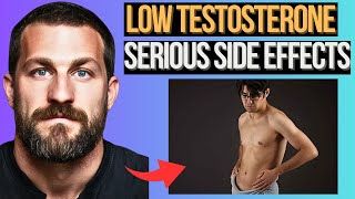 SERIOUS Effects Of LOW Testosterone Every Man MUST KNOW Neuroscientist Andrew Huberman [upl. by Ahsilif96]