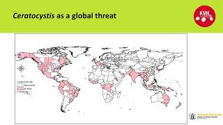 Ceratocystis fimbriata a global threat  Matt Dyck KVH [upl. by Ashmead]