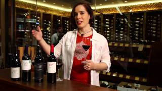 Pinot Noir Merlot Cabernet Sauvignon Shiraz Syrah  Red Wine Guide [upl. by Hennessey]