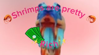 🦐Shrimps are pretty rich🦐 ✧ftfunneh✧ [upl. by Lahcym]