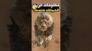 معلومات عن الحيوانات هتصدمك [upl. by Nnaeus]