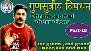 Chromosomal aberrations ।। Chromosomal mutation [upl. by Dor]