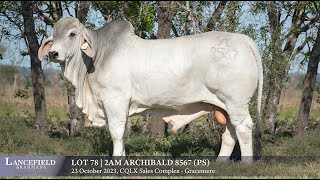 Lot 78  2AM ARCHIBALD 8567 PS [upl. by Qerat]